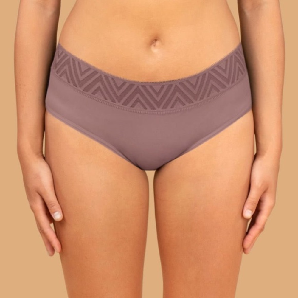 Thinx Hiphugger Panty